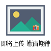 SKS-0902脈沖磁場發(fā)生器（SKS-0902）
